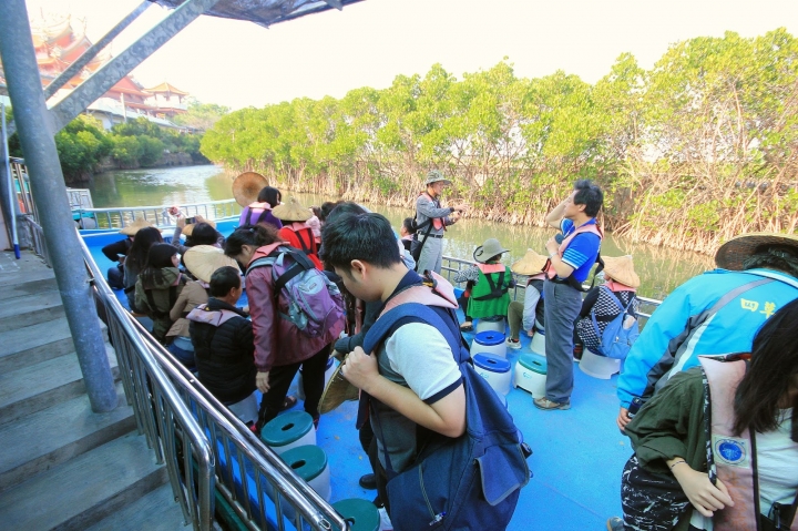 [台南] 四草綠色隧道 & 四草湖藍色絲路生態之旅
