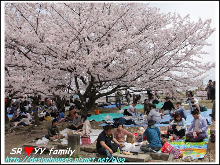 {日本九州遊} [推薦景點] 福岡賞櫻花季 賞櫻名所 舞鶴公園