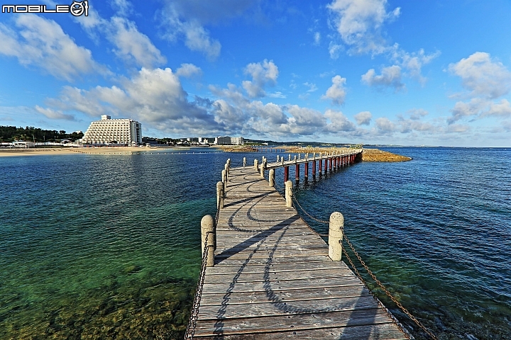 【沖繩自由行-離島】座間味島與海龜伴游