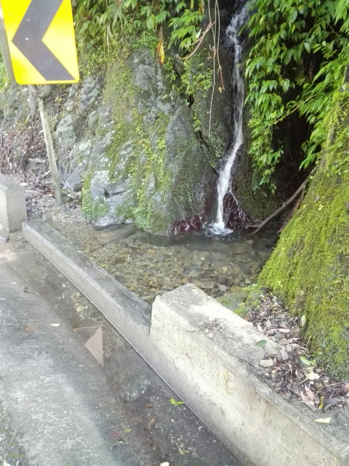 登山車一日北橫之慘兮兮