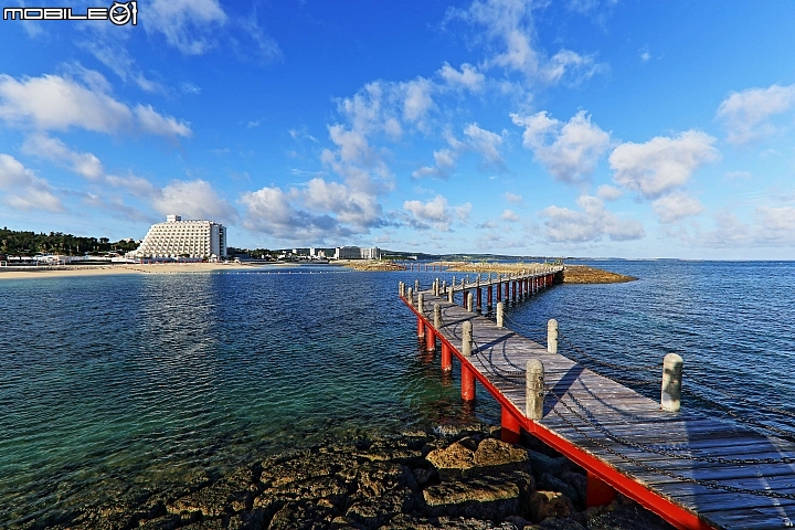 【沖繩自由行-離島】座間味島與海龜伴游