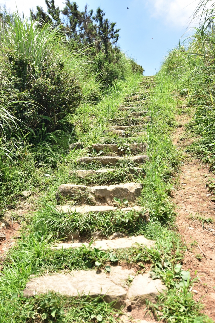 陽明山大縱走----東段