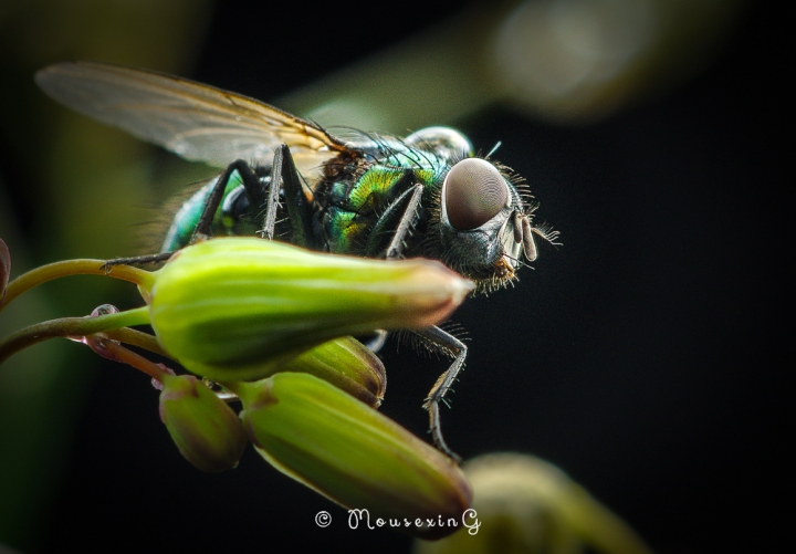 [微觀世界]不定期更新