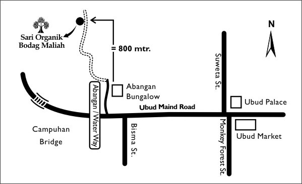 [峇里島必吃][餐廳推薦]美食-巴里島烏布區 Bali-Ubud_Sari Organik 景觀無敵的稻田有機餐廳