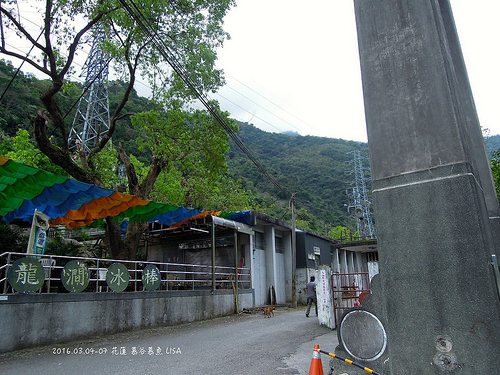 [走跳] 花蓮四天三夜小旅行 - 慕谷慕魚生態迴廊，青翠的藍綠色仙境，全程步行入山（2016）