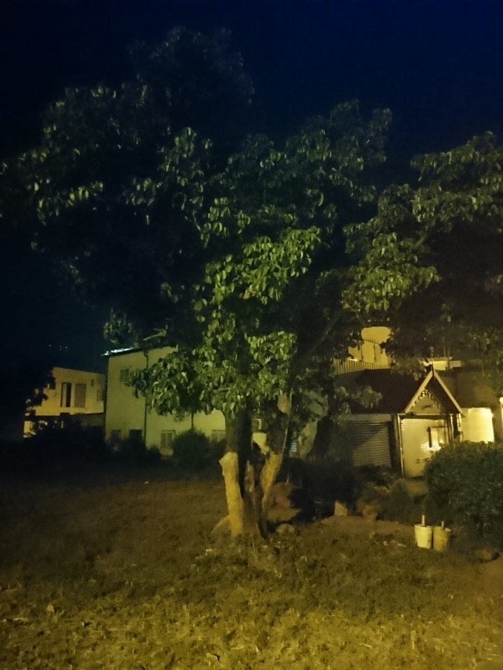 高ISO 夜拍照片分享