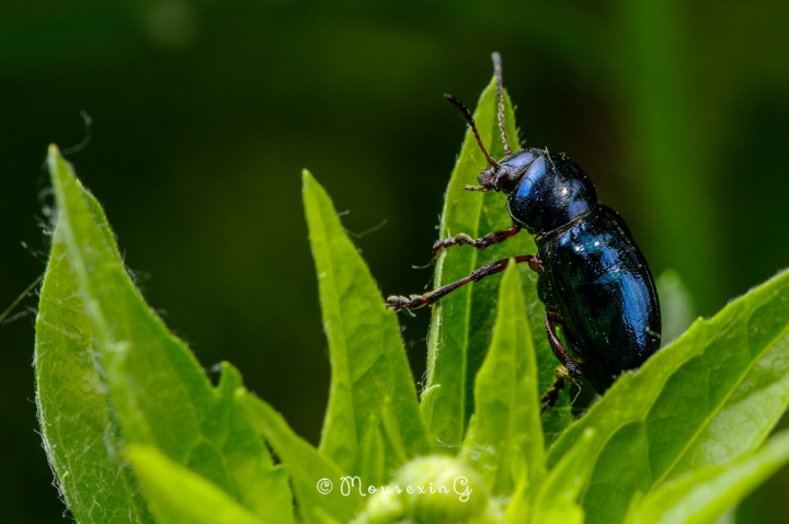 [微觀世界]不定期更新
