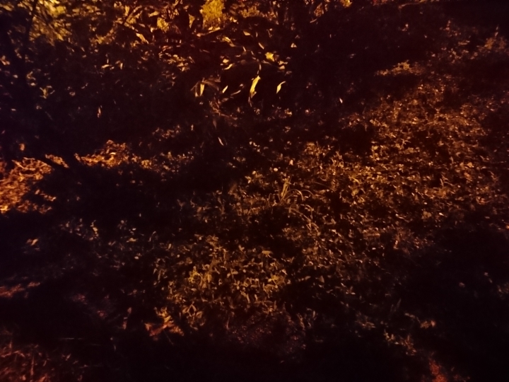 高ISO 夜拍照片分享