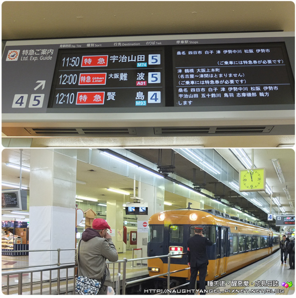 【中部國際機場】伊勢、志摩、鳥羽&三重縣精選52處之夢想達陣親子景點必爬文篇