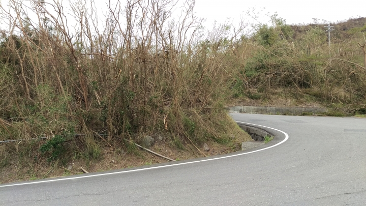 颱風過後的197縣道