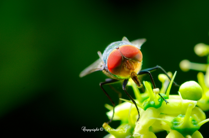 [微觀世界]不定期更新