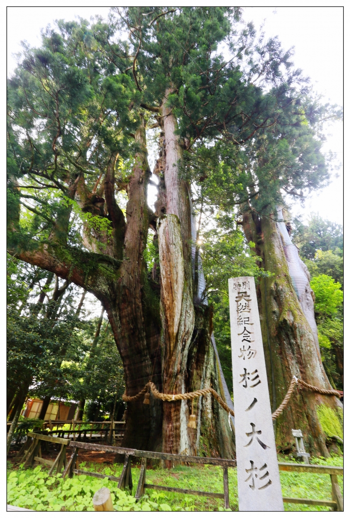 [SKYWAVE TYPE-S]日本四國環島之旅(PART-4)「愛媛―香川」