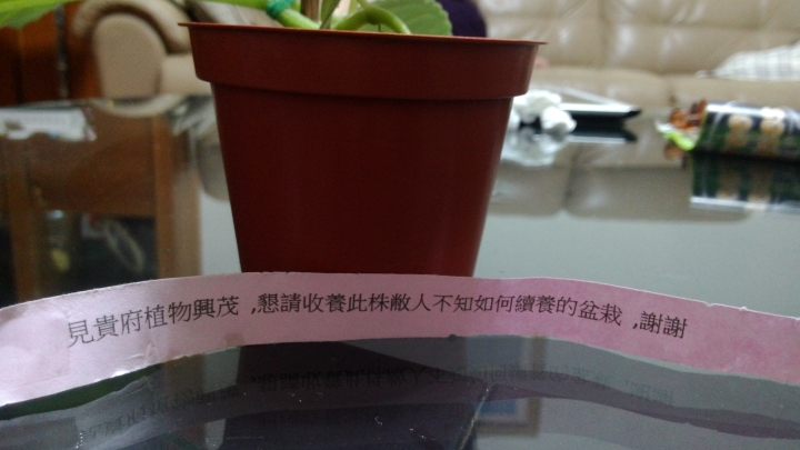 託孤記