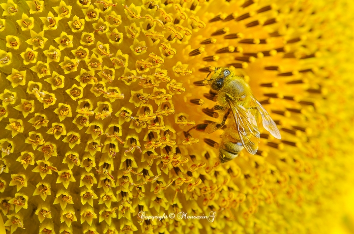[微觀世界]不定期更新