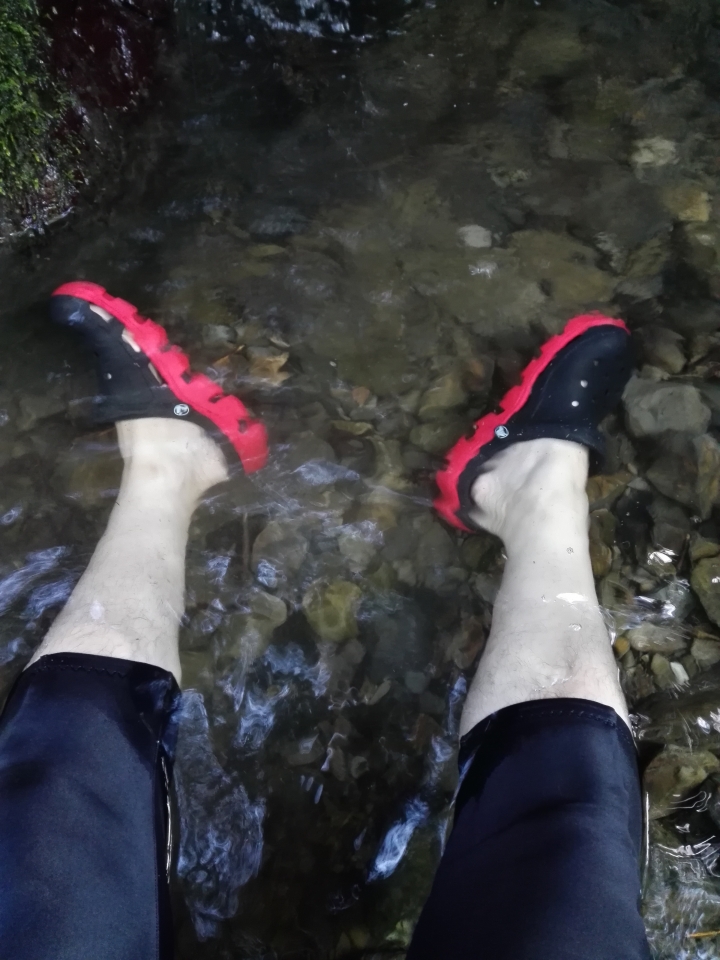 登山車一日北橫之慘兮兮