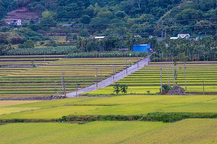 環島17天