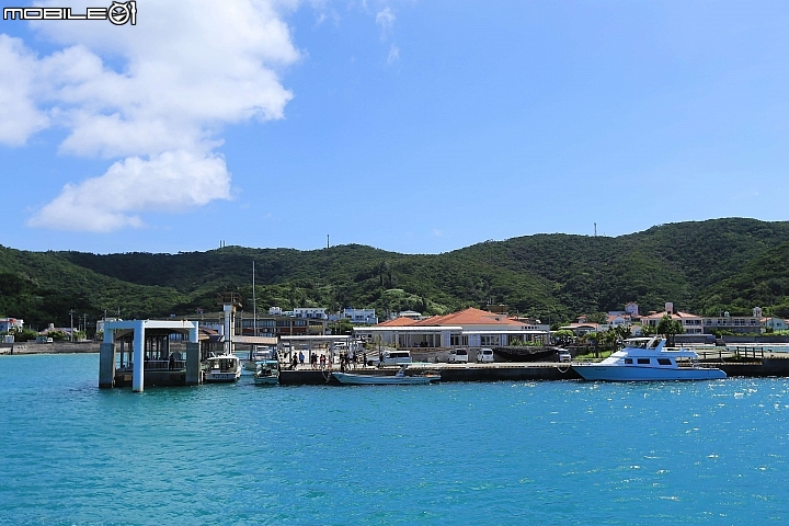 【沖繩自由行-離島】座間味島與海龜伴游