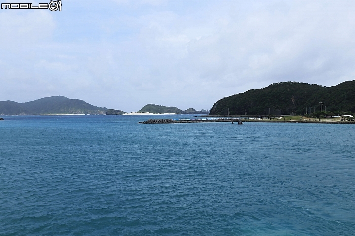 【沖繩自由行-離島】座間味島與海龜伴游