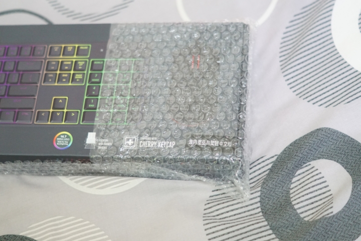 應該是首發的可換鍵帽 CM Masterkeys Lite L