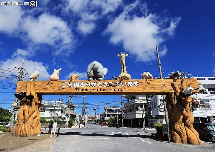 【沖繩自由行-離島】座間味島與海龜伴游