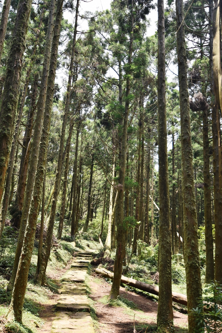 陽明山大縱走----東段