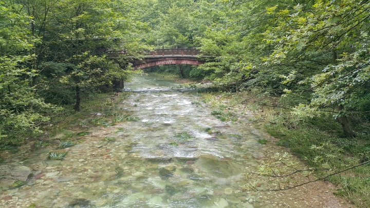 美嗎?照於張家界/鳳凰古城風景優美