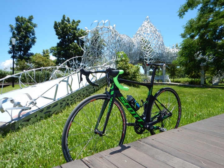 [分享]2016SCOTT FOIL TEAM ISSUE(圖少)