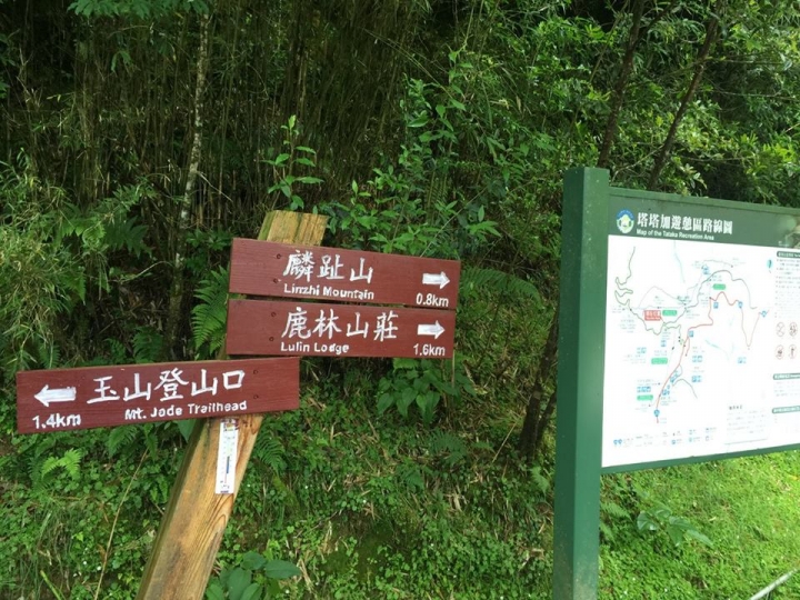 1050704 塔塔加麟趾山輕鬆健行