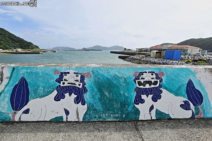 【沖繩自由行-離島】座間味島與海龜伴游