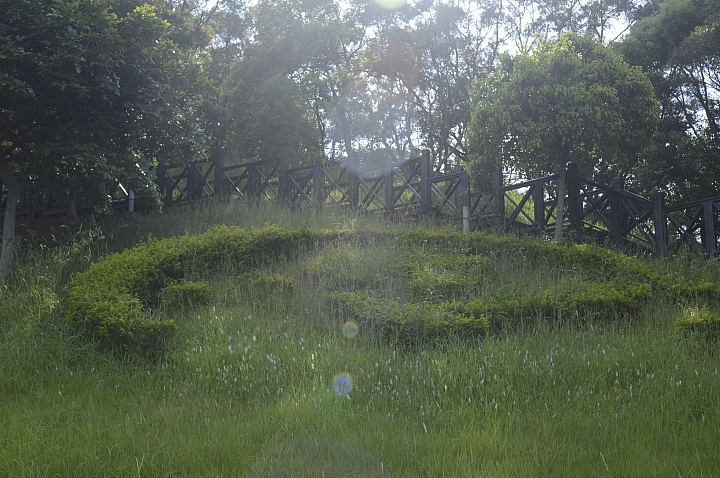 nikon d3200實拍~