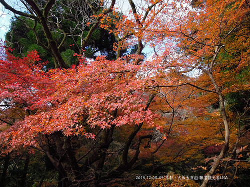 [走跳] 日本京都、大阪自助五日遊 DAY2（中）- 清水寺、地主神社、八橋泡芙、八阪塔、石板小路、八坂神社