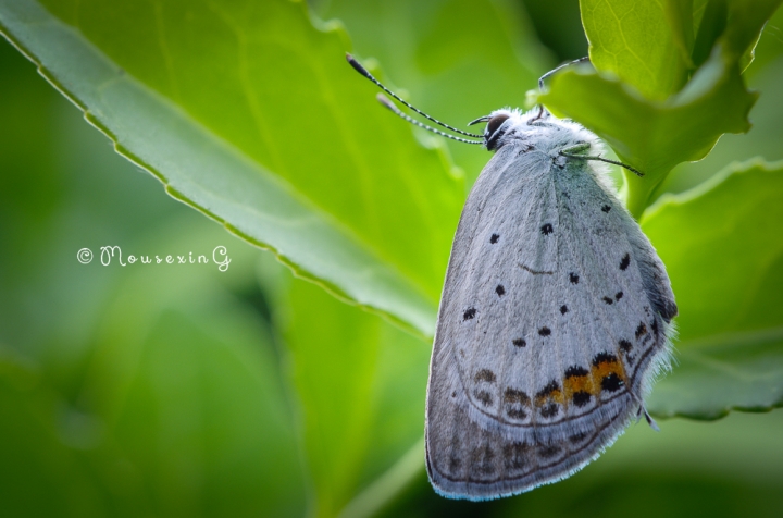 [微觀世界]不定期更新