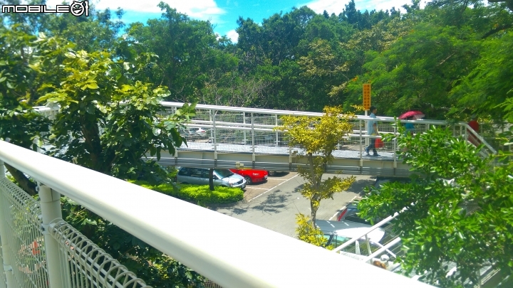 彰化八卦山天空步道 散步遊