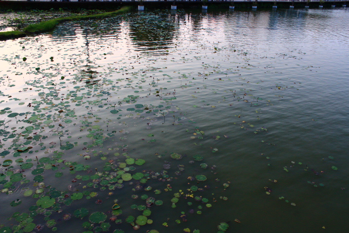 (高雄左營景點)蓮池潭風景區:龍虎塔 南台灣旅遊必去景點之一