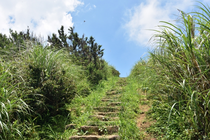 陽明山大縱走----東段