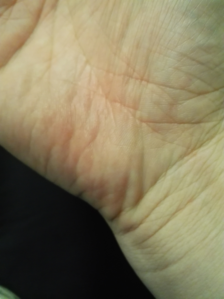 登山車一日北橫之慘兮兮