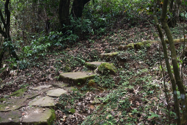 陽明山大縱走----東段