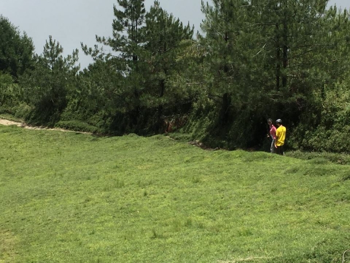 1050704 塔塔加麟趾山輕鬆健行