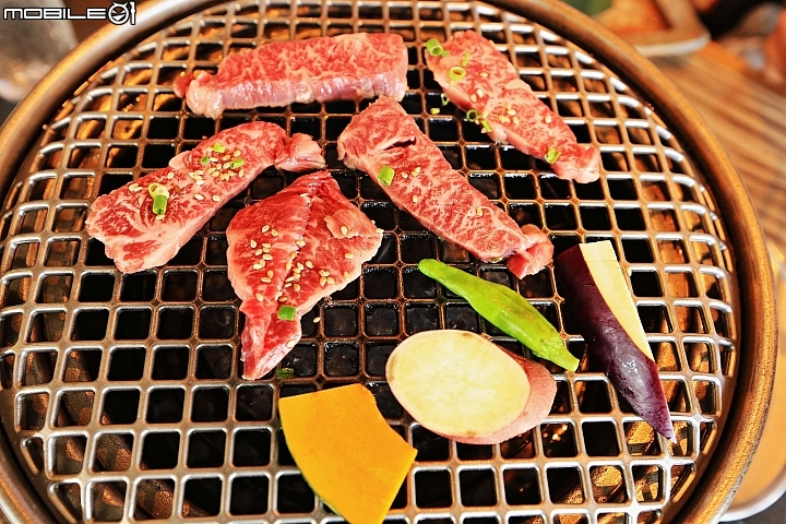 【沖繩自由行-離島】座間味島與海龜伴游