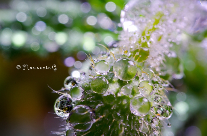 [微觀世界]不定期更新