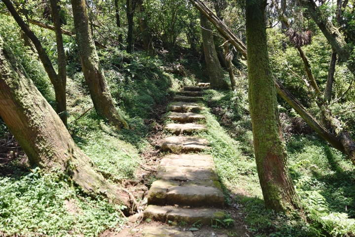 陽明山大縱走----東段