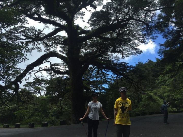 1050704 塔塔加麟趾山輕鬆健行