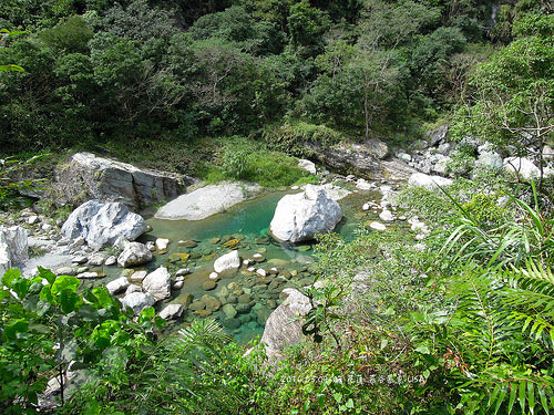 [走跳] 花蓮四天三夜小旅行 - 慕谷慕魚生態迴廊，青翠的藍綠色仙境，全程步行入山（2016）