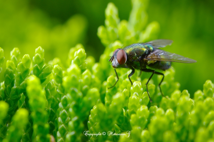 [微觀世界]不定期更新