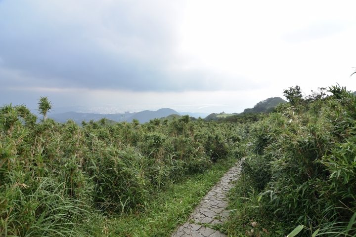 陽明山大縱走----東段