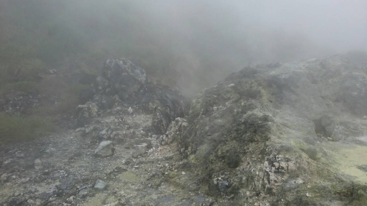 陽明山大縱走----東段