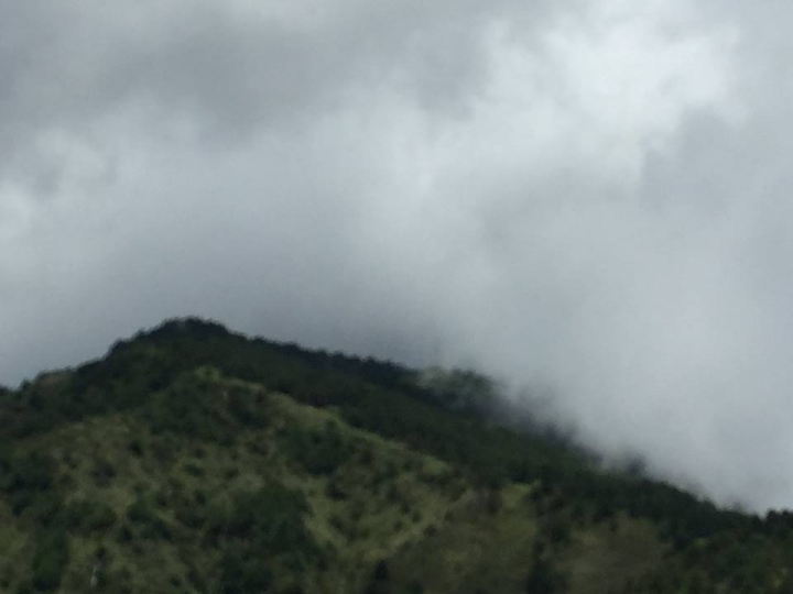 1050704 塔塔加麟趾山輕鬆健行