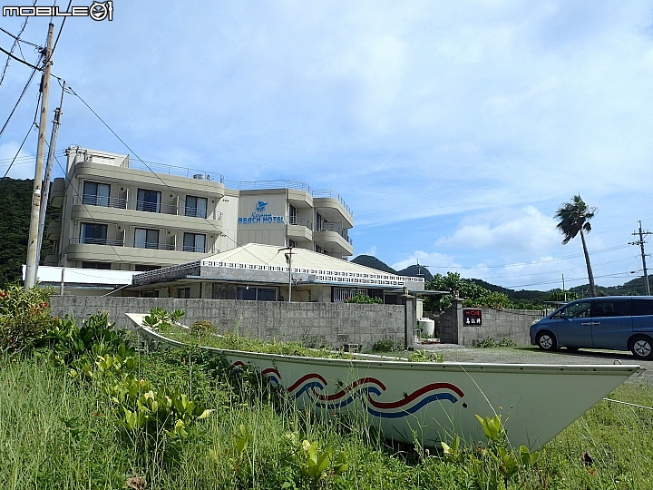 【沖繩自由行-離島】座間味島與海龜伴游