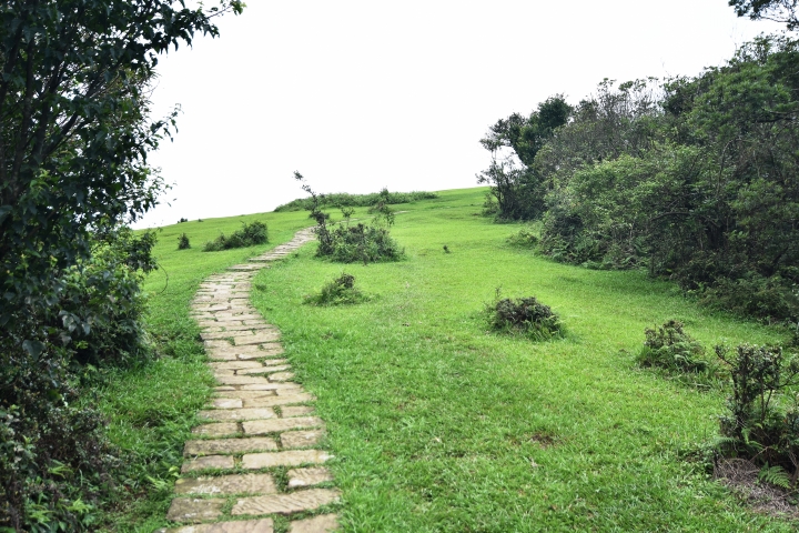 陽明山大縱走----東段