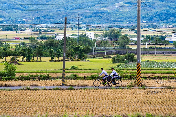 環島17天